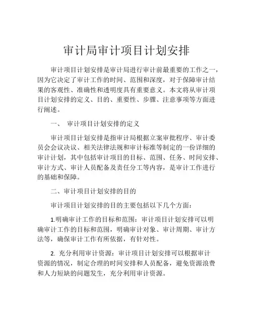 审计局审计项目计划安排