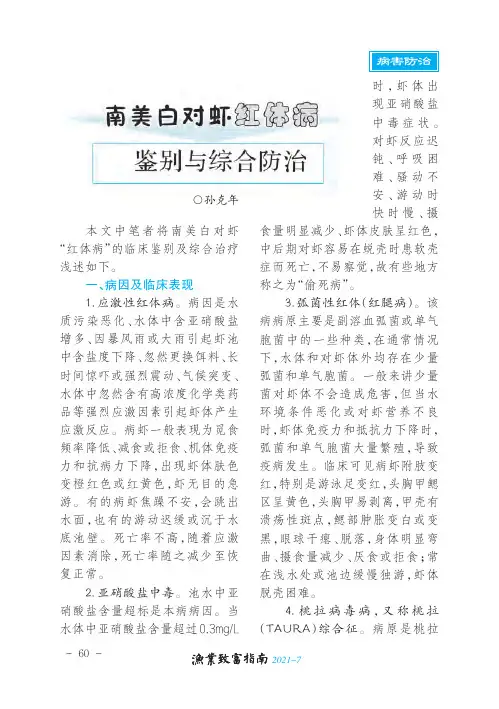 南美白对虾红体病的鉴别与综合防治
