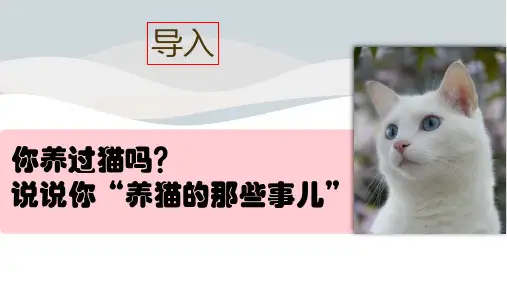 人教部编版七年级上册第16课《猫》课件(共50张PPT)