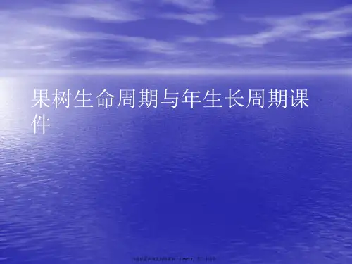 果树生命周期与年生长周期PPT讲稿