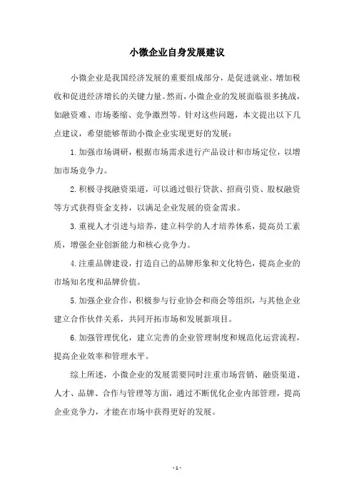 小微企业自身发展建议