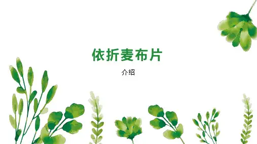 依折麦布片 