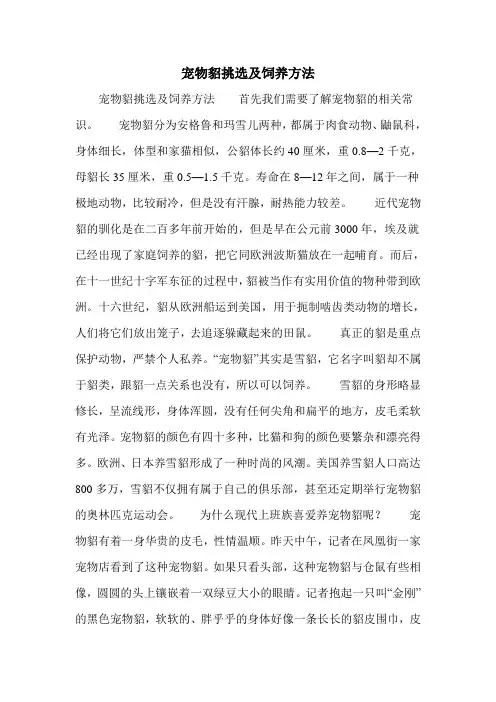 宠物貂挑选及饲养方法