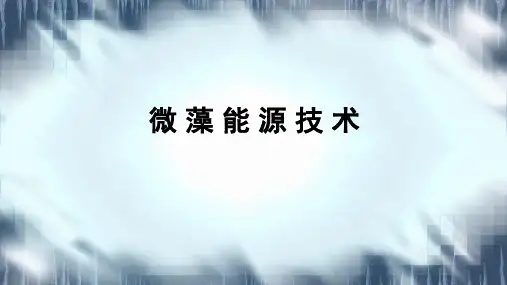 海藻生物能源PPT课件