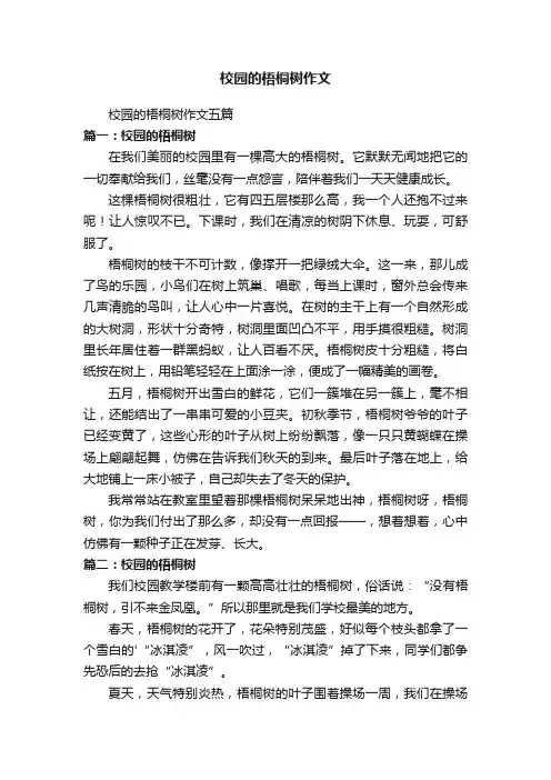 校园的梧桐树作文五篇