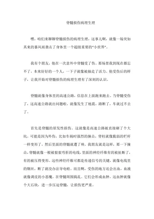 脊髓损伤病理生理