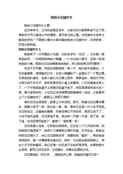 我的小花猫作文6篇