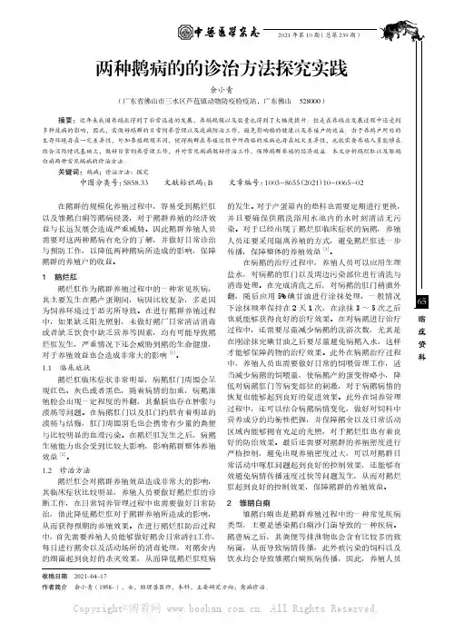 两种鹅病的的诊治方法探究实践