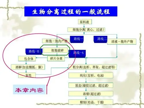 细胞破碎、蛋白质复性、固液分离