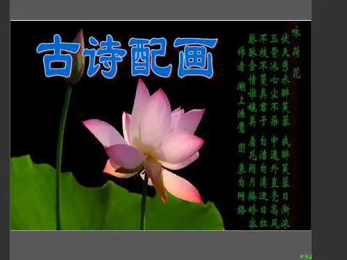 浙美版美术六年级下册《古诗配画》教学课件