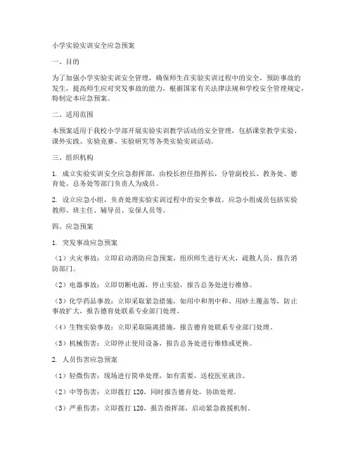 小学实验实训安全应急预案