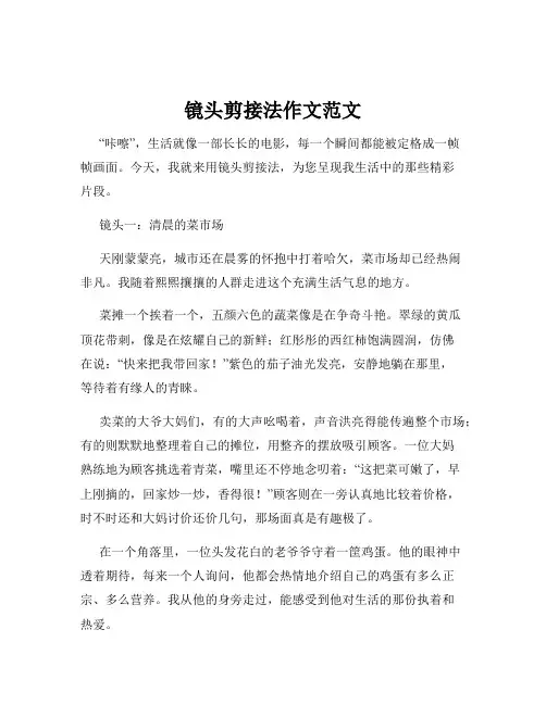 镜头剪接法作文范文