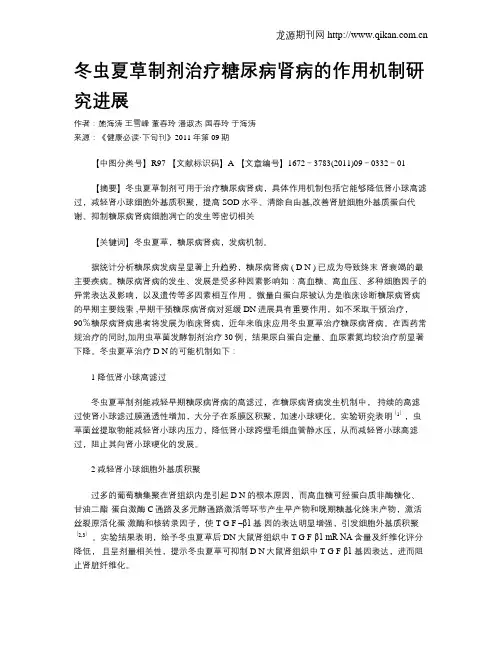 冬虫夏草制剂治疗糖尿病肾病的作用机制研究进展