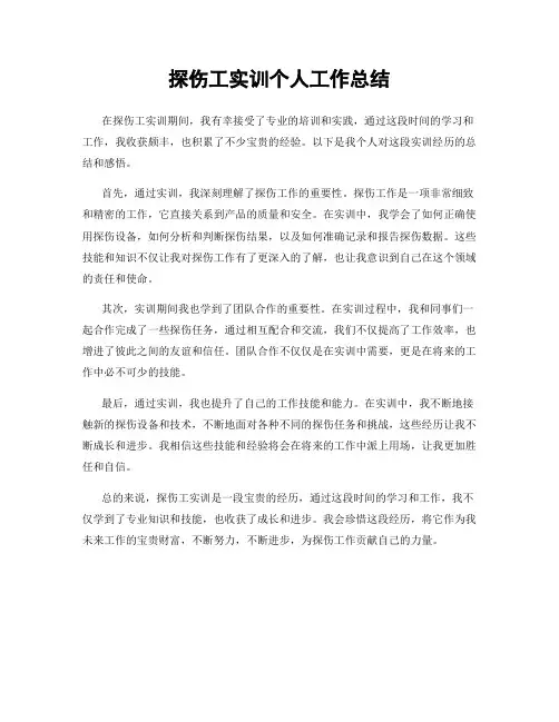 探伤工实训个人工作总结