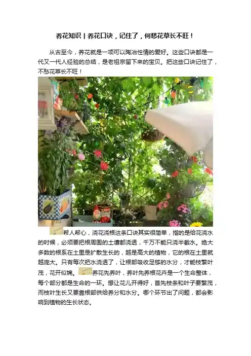 养花知识丨养花口诀，记住了，何愁花草长不旺！