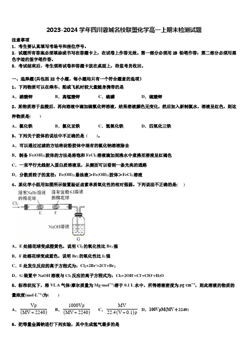 2023-2024学年四川蓉城名校联盟化学高一上期末检测试题含解析