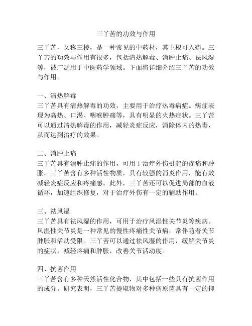三丫苦的功效与作用