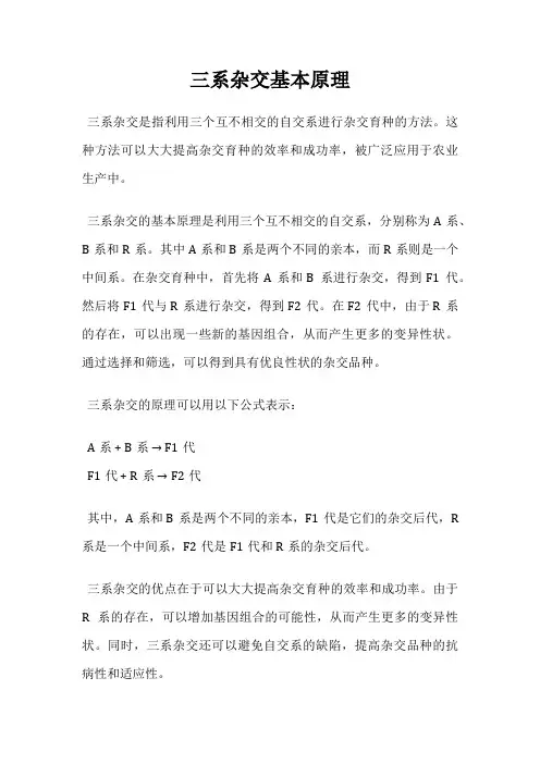 三系杂交基本原理