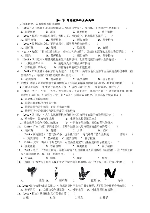 2019年中考生物真题分类：绿色植物的主要类群