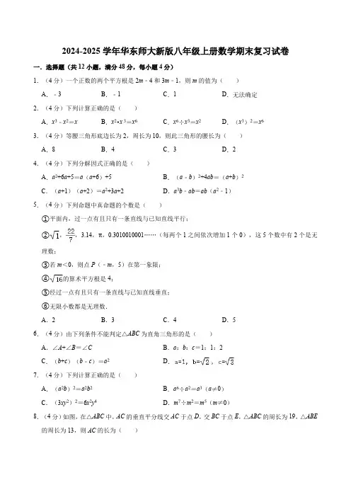 2024-2025学年华东师大新版八年级上册数学期末复习试卷(含详解)