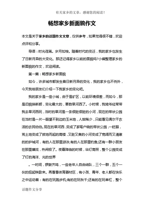 畅想家乡新面貌作文