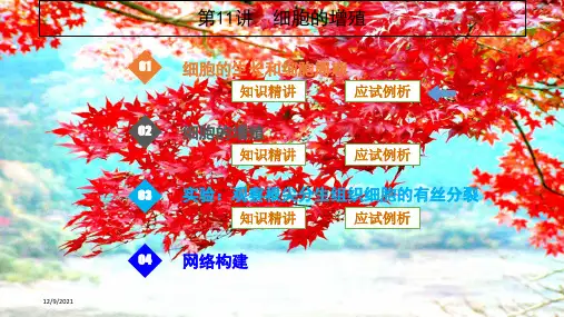 高考生物一轮复习第11讲细胞的增殖课件高三全册生物课件