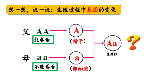 第三节基因的显性和隐性(一)课件人教版生物八年级下册