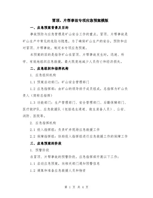 冒顶、片帮事故专项应急预案模版