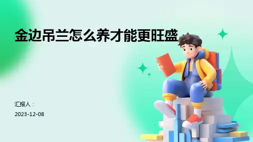 金边吊兰怎么养才能更旺盛