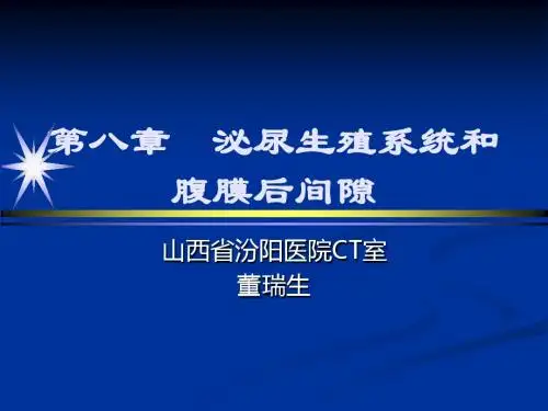 腹膜后间隙影像诊断PPT课件
