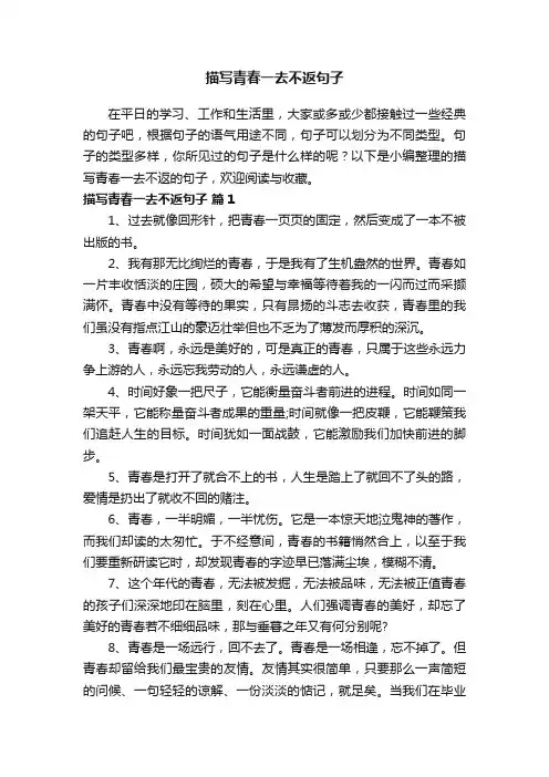 描写青春一去不返句子