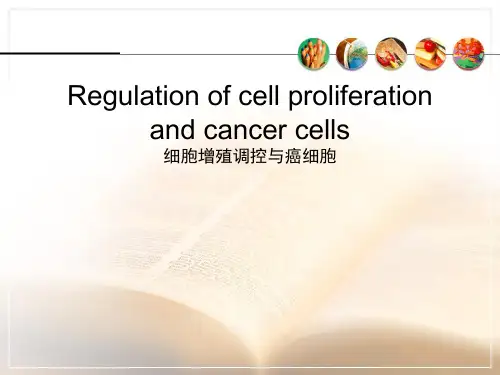第14章细胞增殖调控与癌细胞