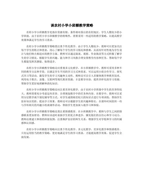 谈农村小学小班额教学策略
