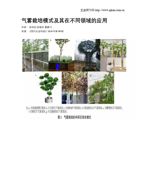 气雾栽培模式及其在不同领域的应用