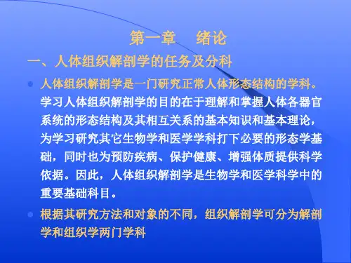 人体组织解剖学课件