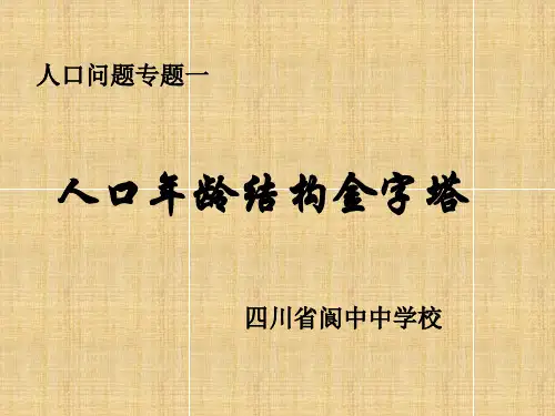 人口年龄结构金字塔