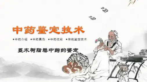 茎木树脂类中药的鉴定—沉香、檀香、木香、降香、鸡血藤、钩藤等中药的鉴定