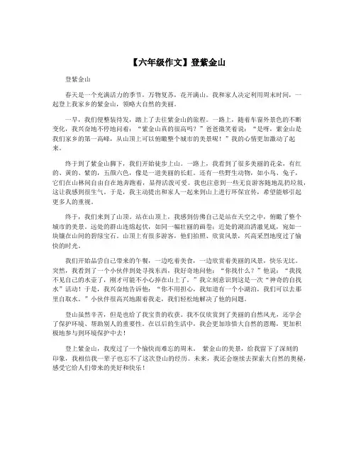 【六年级作文】登紫金山