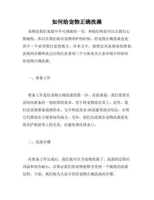 如何给宠物正确洗澡