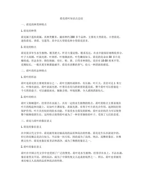 荷花荷叶知识点总结