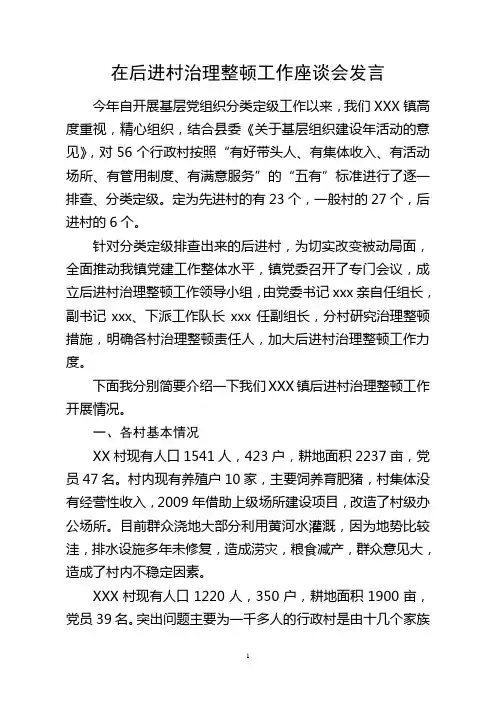 在后进村治理整顿工作座谈会发言