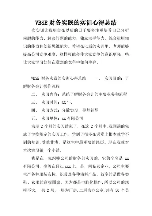 VBSE财务实践的实训心得总结