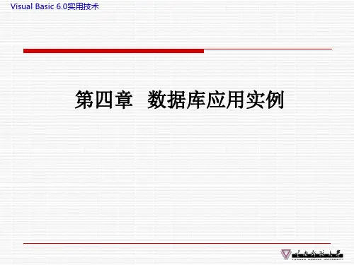 VB数据库应用实例教程