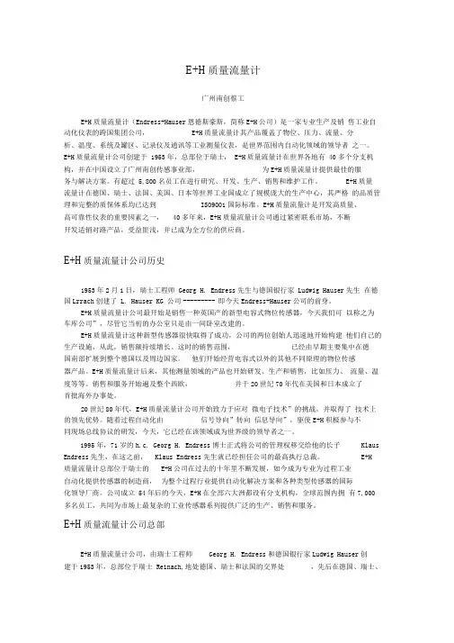 E+H质量流量计