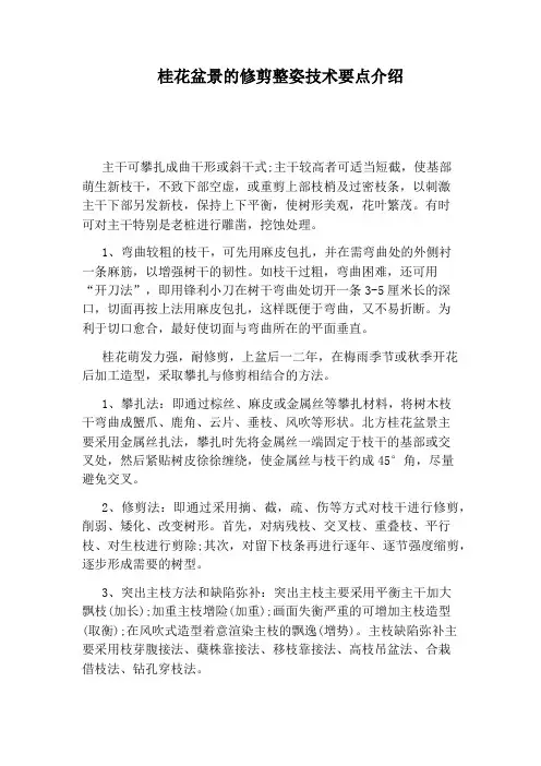 桂花盆景的修剪整姿技术要点介绍