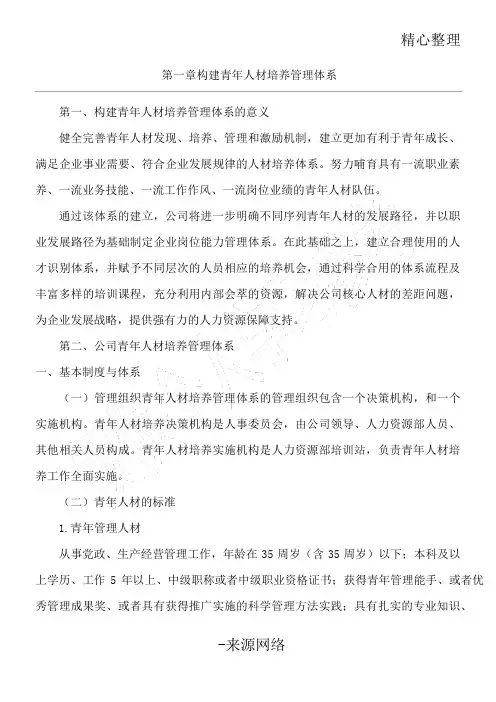 青年人才培养规划