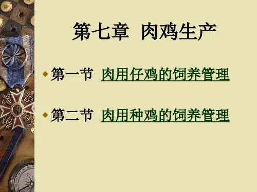 第七章  肉鸡生产