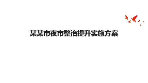 某某市夜市整治提升实施方案.pptx