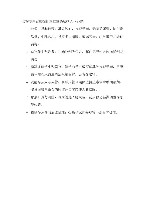 动物导尿管操作流程