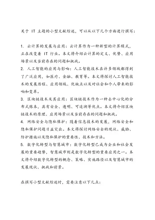 it主题的小型文献综述